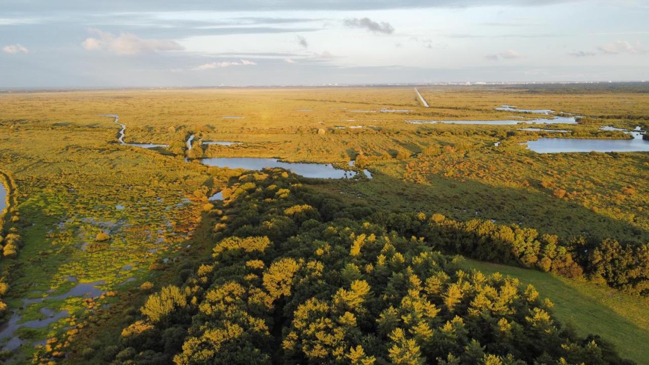 فيلا Domaine De Pan Saint-Lyphard المظهر الخارجي الصورة